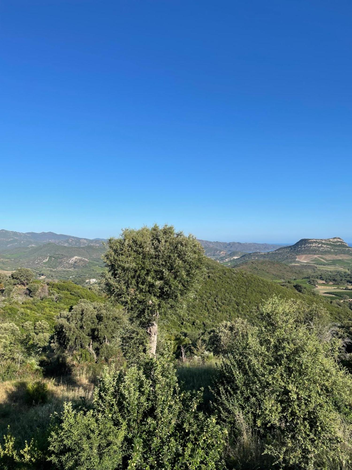 Casa Di Cajucan Poggio-d'Oletta Esterno foto