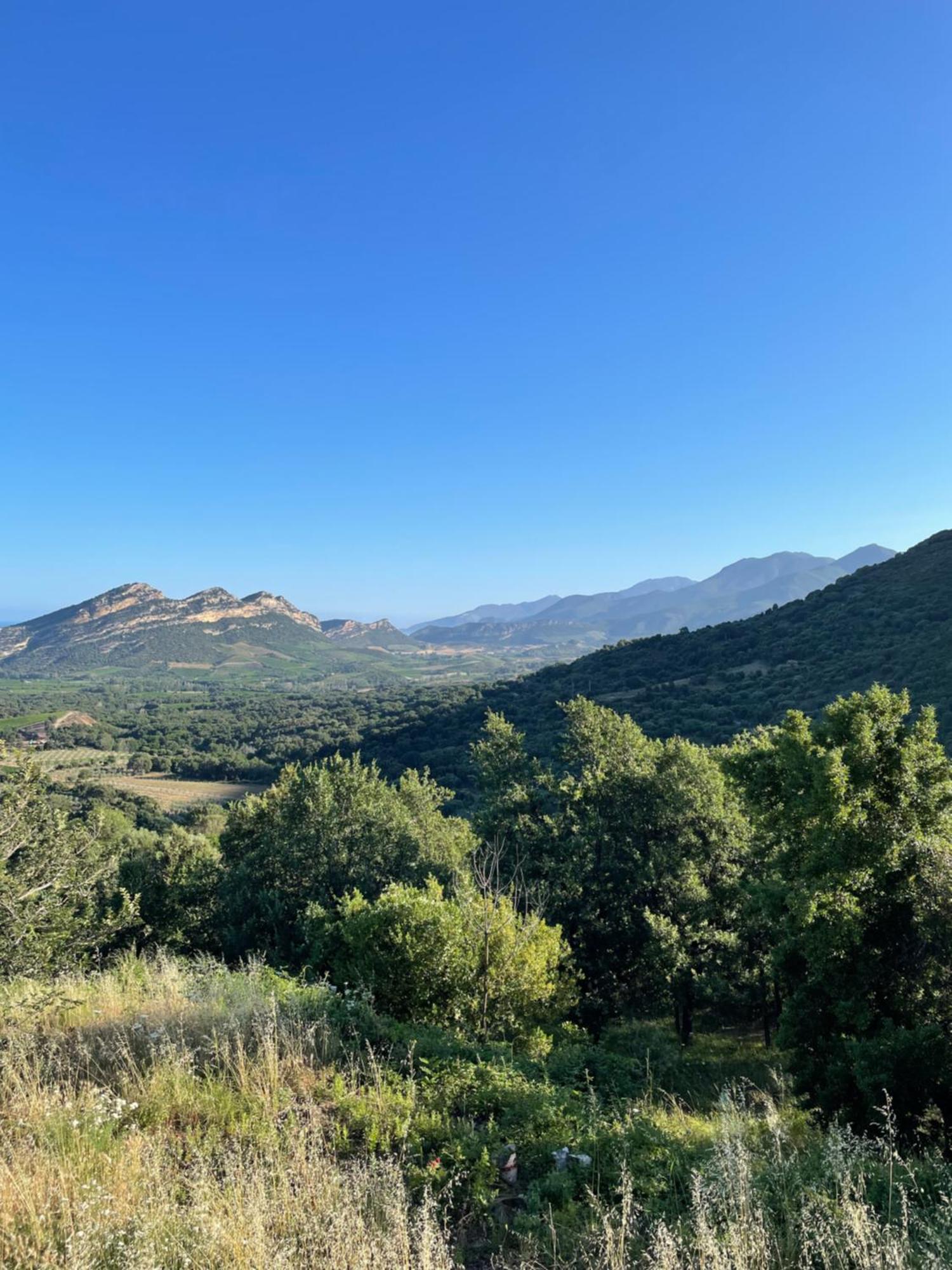 Casa Di Cajucan Poggio-d'Oletta Esterno foto