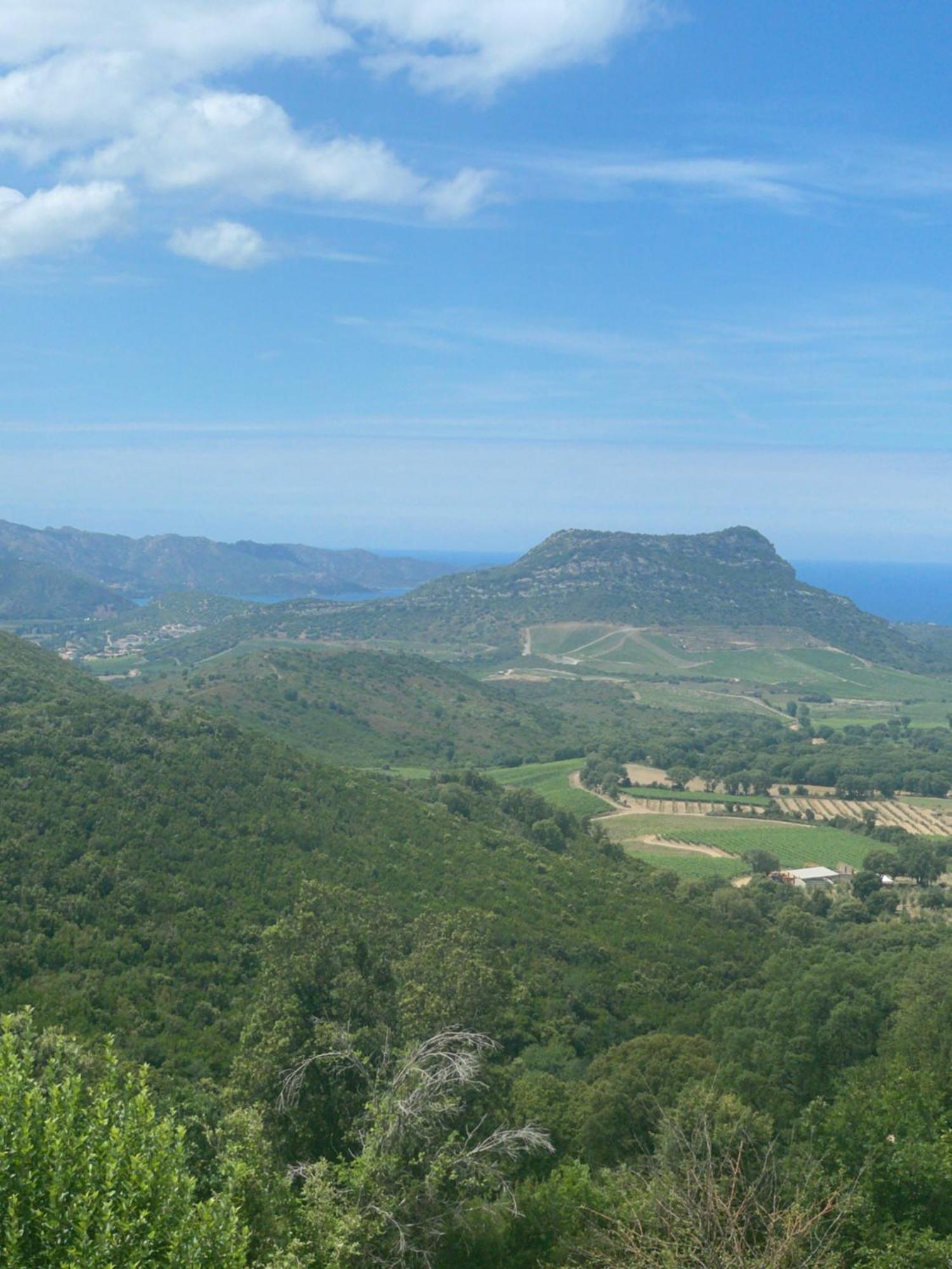 Casa Di Cajucan Poggio-d'Oletta Esterno foto
