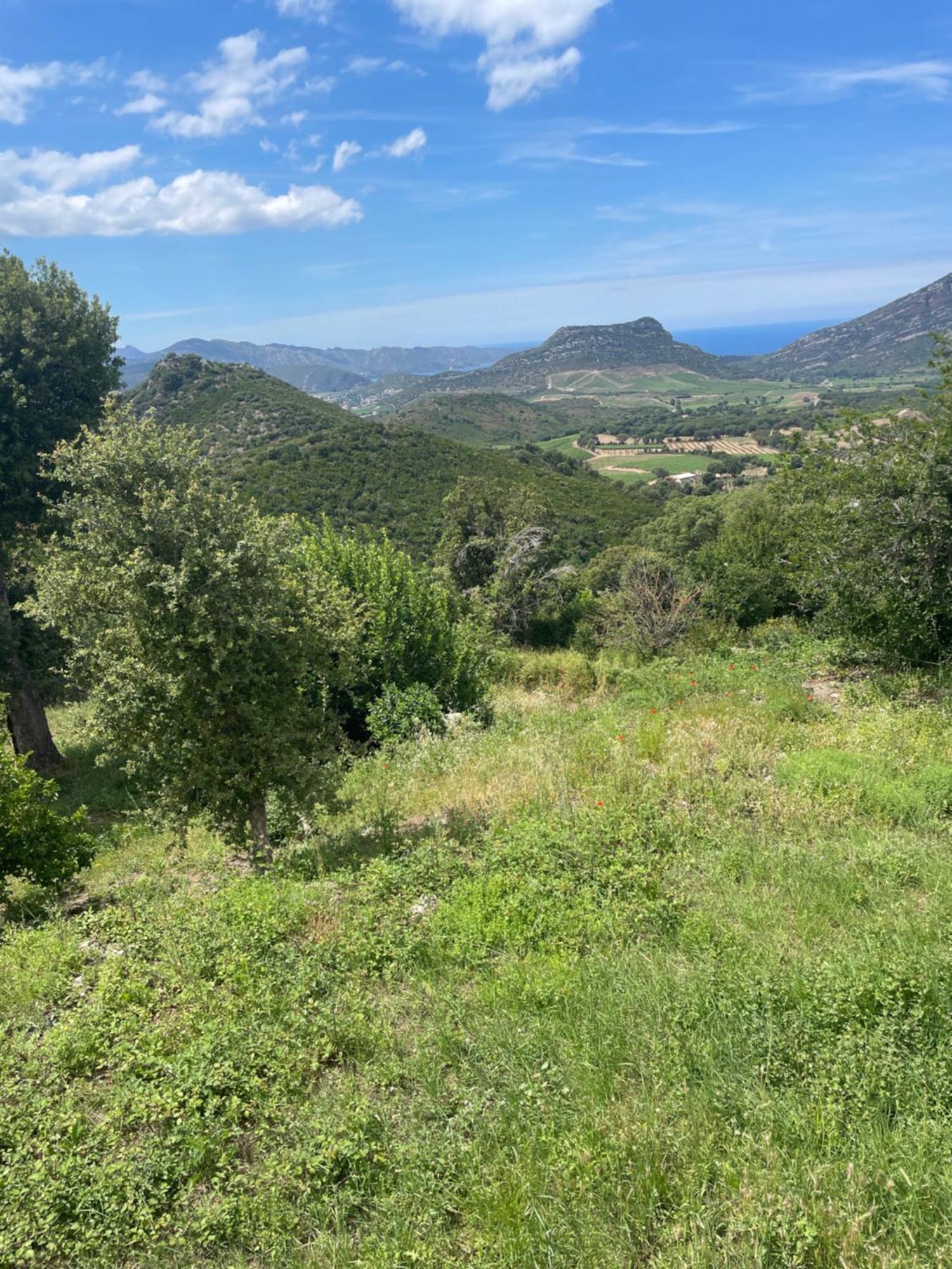 Casa Di Cajucan Poggio-d'Oletta Esterno foto
